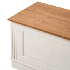 Banc D’entrée Lillehammer -VIDAXL || BeCo || Emma Soldes 1000188899 200305 15541800007 DETAILS P000000001000188899