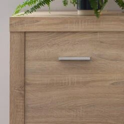 Buffet Vierzon -VIDAXL || BeCo || Emma Soldes 1000237347 201230 13160200067 DETAILS P000000001000237347