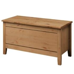 Coffre Eva -VIDAXL || BeCo || Emma Soldes 1000243592 210121 14381900019 IMAGE P000000001000243592