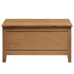 Coffre Eva -VIDAXL || BeCo || Emma Soldes 1000243592 210121 14382100020 DETAILS P000000001000243592