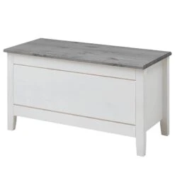 Coffre Eva -VIDAXL || BeCo || Emma Soldes 1000243593 210121 14382500022 IMAGE P000000001000243593