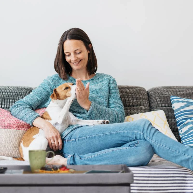 Banquette De Rangement En Velours 16 Banquette De Rangement En Velours – Image 14