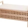 Banc De Rangement HWC-B61 1 Banc De Rangement HWC-B61 -VIDAXL || BeCo || Emma Soldes 711ffc20825246f4a9eabf9a567dbe65.cropped 139 370 1111 782.processed