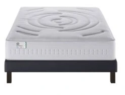 Matelas Influence-r 15 Matelas Influence-r -VIDAXL || BeCo || Emma Soldes ca44a1dd14844da4917d064a16050fa1.cropped 26 253 975 738.processed