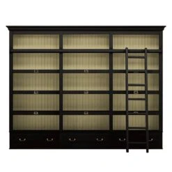 Étagères Azjana 18 Étagères Azjana -VIDAXL || BeCo || Emma Soldes regalwand azjana pinie teilmassiv schwarz pinie creme mit leiter 3391269